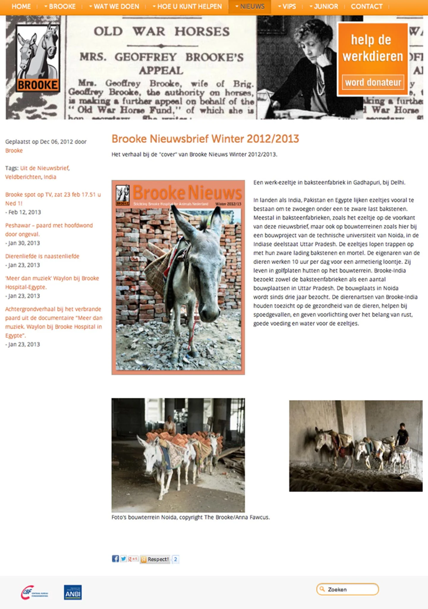 The Brooke mag 8.jpg