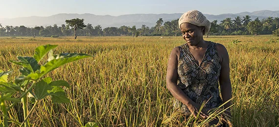 OxfamHaiti2013Blog_AFPBanner.jpg