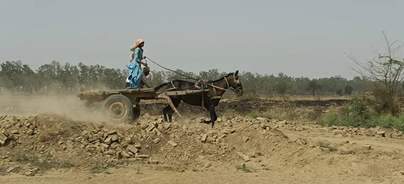 TheBrookeIndiaBlogBanner1.jpg
