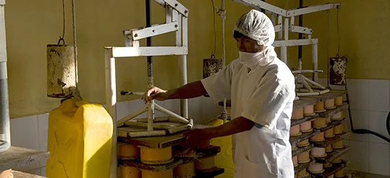 PeruvianTimesCookBookBlogBanner.jpg