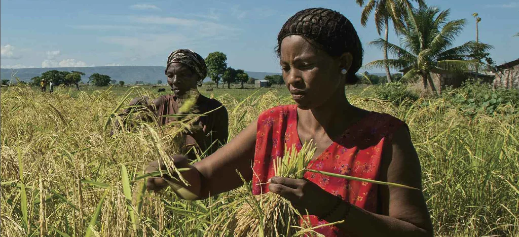 Oxfam-Canada-Annual-Report-Cover-Shot_blogbanner.jpg