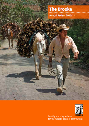 The Brooke Annual Review