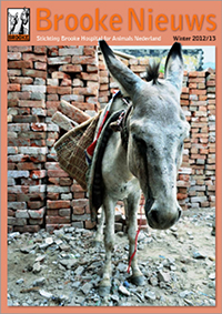TheBrookwNews2012.13