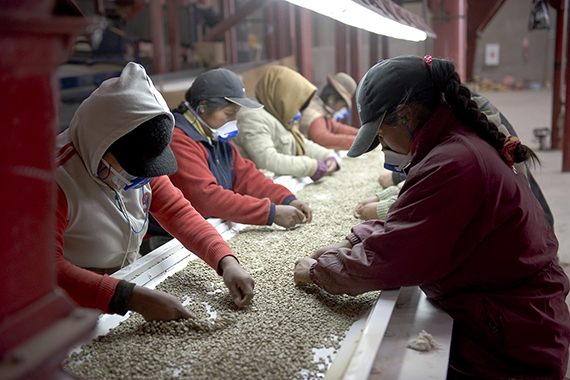 Coffee Factory